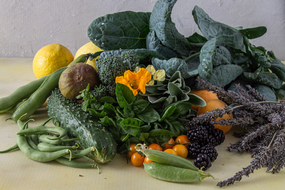 Fresh fruits and vegetables from garden on yellow and white background