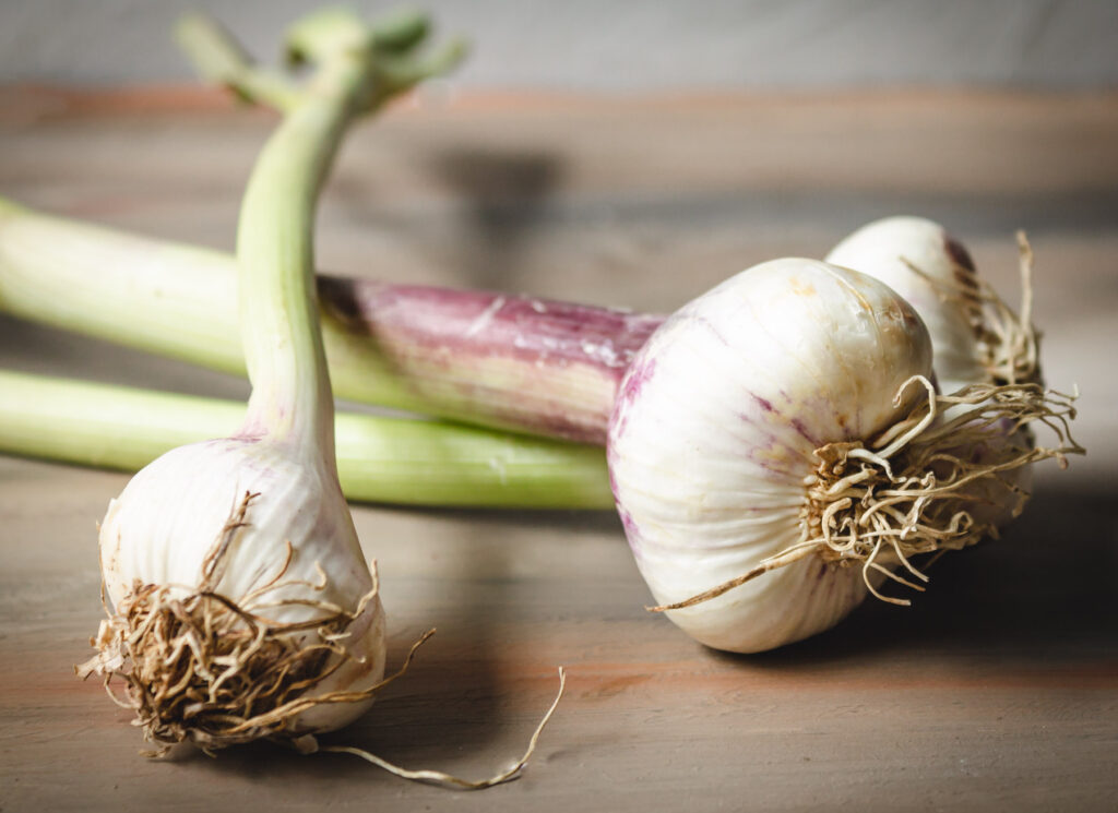 Three heads of green garlic on a wood table