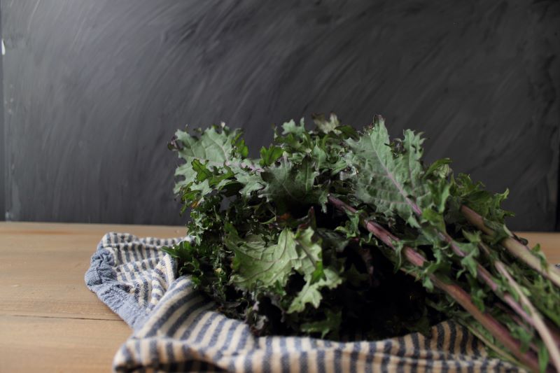 lovely purple kale