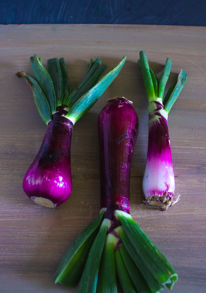 Lovely purple spring onions