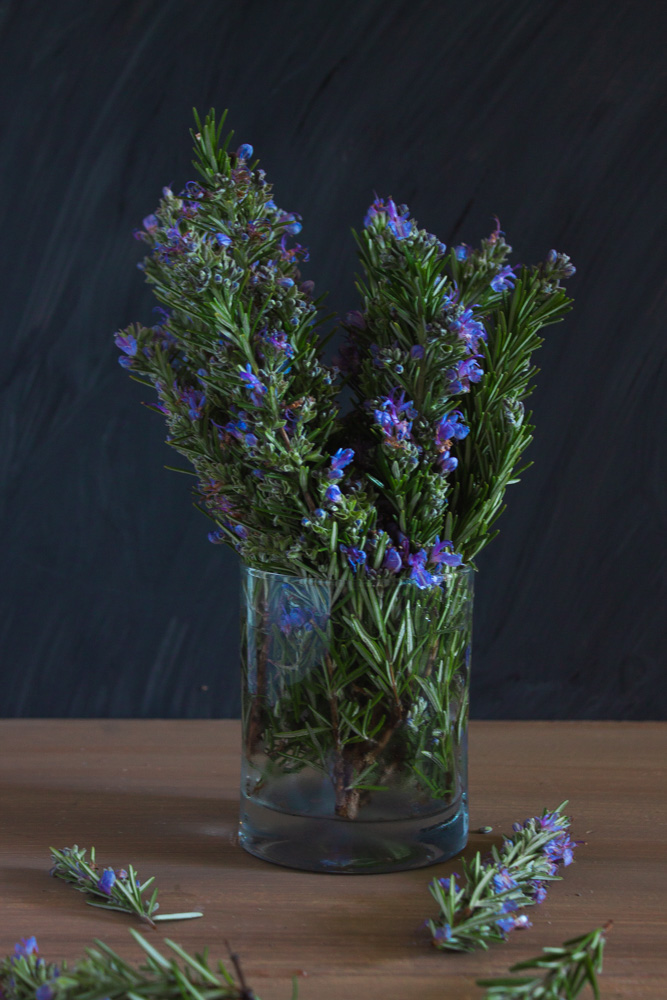 Rosemary against a dark background