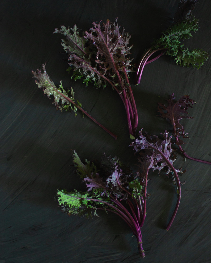 Purple kale against a dark background