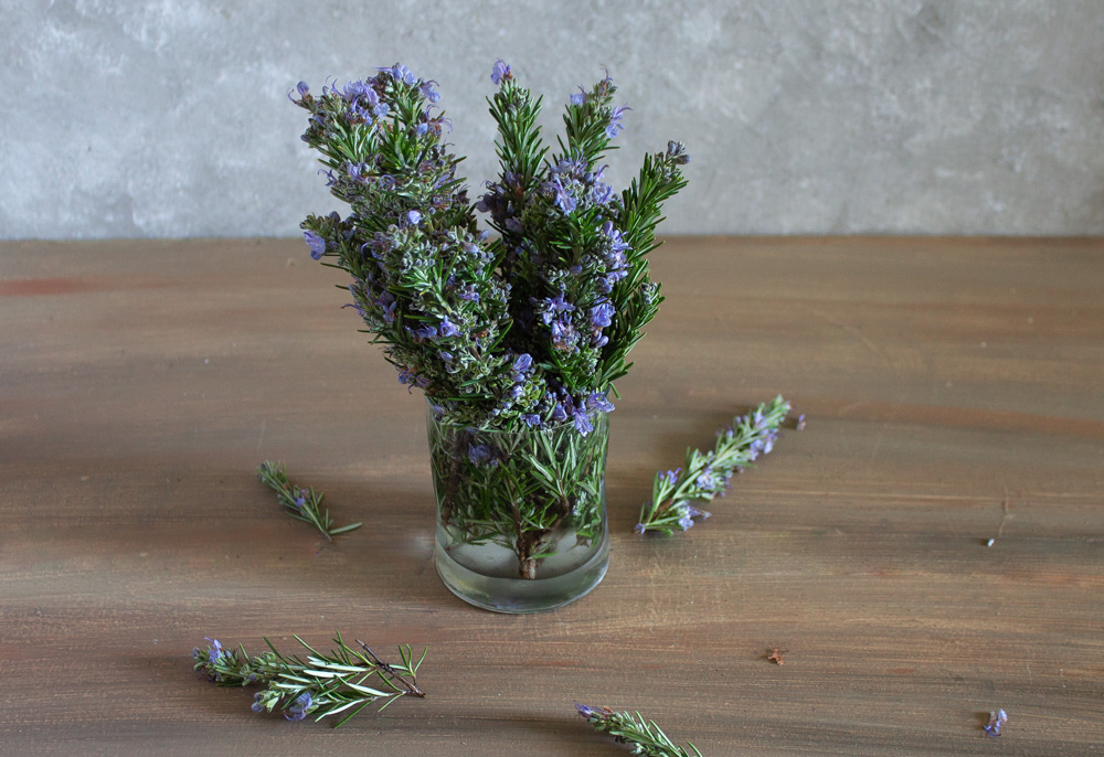 Rosemary with flowers