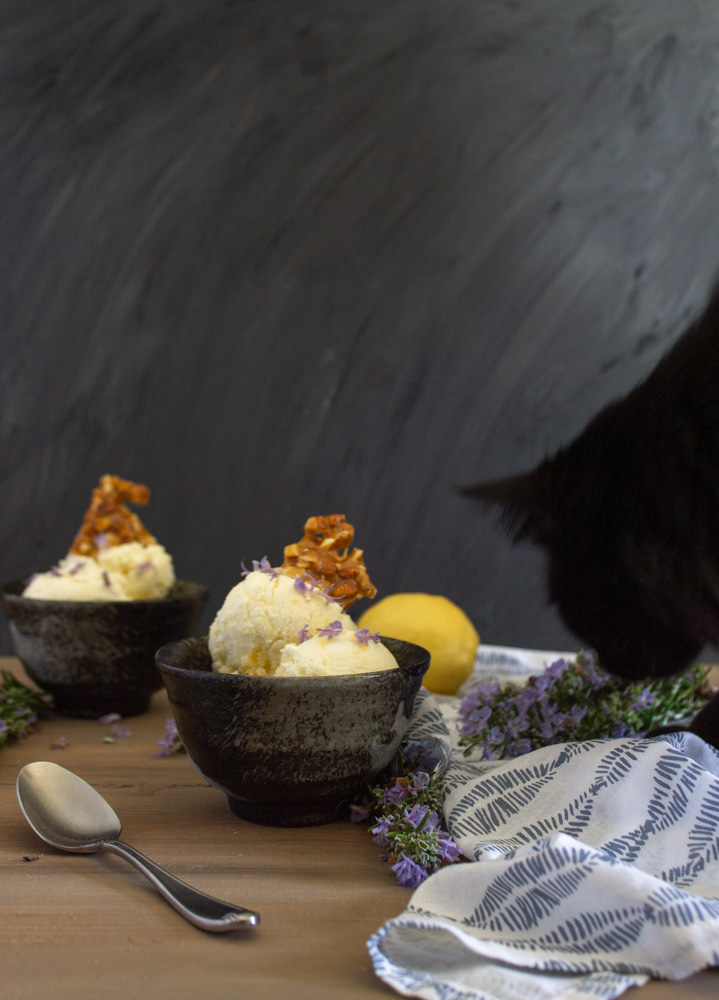 Cat intruding onto photo set of ice cream