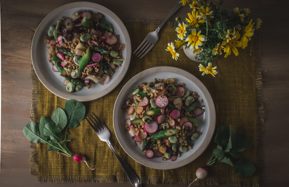 Overhead shot of farro salad and crown daisies