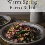 farro and spring vegetable salad with text