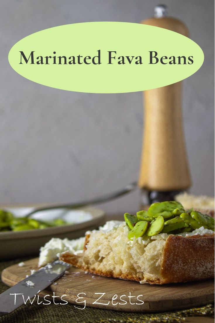 Marinated Fava Beans