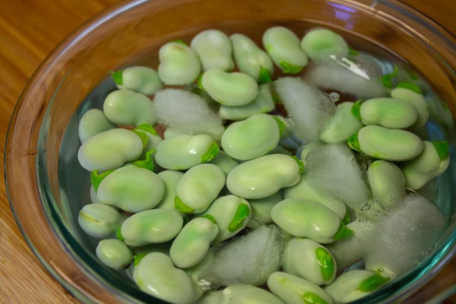 Marinated Fava Beans