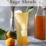 Apricot shrub mixed with soda water in tall glass