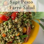 Sage pesto farro salad with text