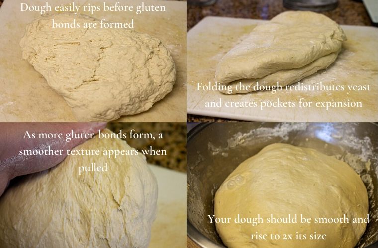 The stages of kneading dough