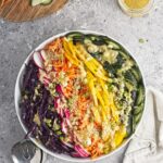 Overhead view of a bowl of coleslaw with the vegetables arranged in a rainbow of purple cabbage, red radishes, orange carrots, yellow peppers, and green cucumber.